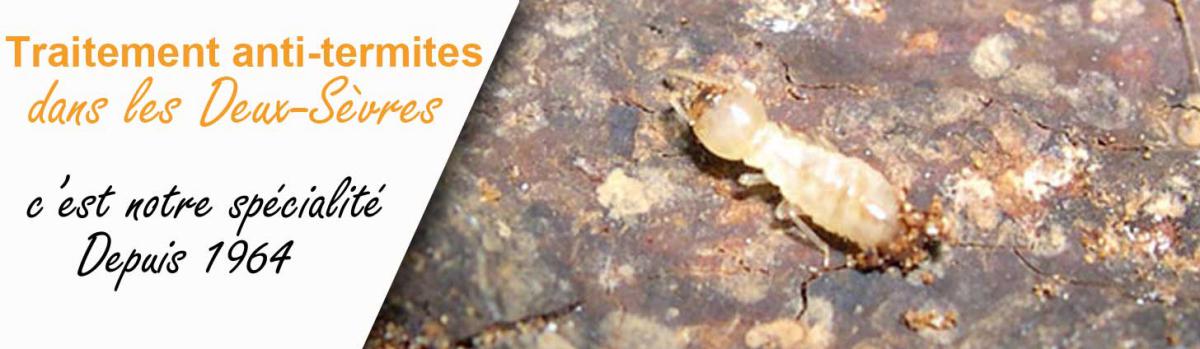 traitement anti-termites Niort